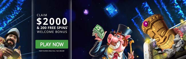 GoWild Casino welcome bonus